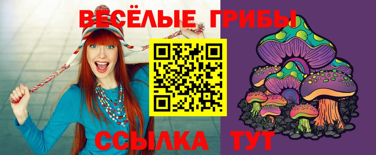 где купить   Галлюциногенные грибы Cubensis  Вход с VPN  Киселёвск 