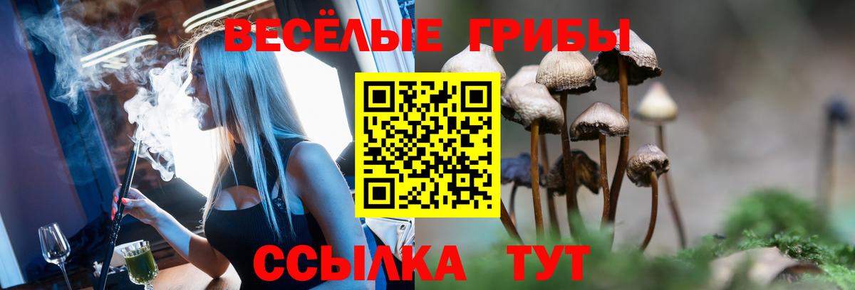 Псилоцибиновые грибы мухоморы Киселёвск